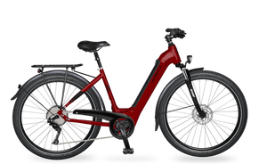 LEB 890 : ce vélo urbain, est un produit performant, élégant et passionnant. Passer les montées les plus difficiles sans encombre grâce à son puissant moteur. 