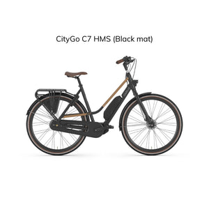 CITYGO C7, doté d'un porte bagages design, vous pouvez emmener tout ce que vous souhaitez. De plus, ce vélo est muni d'un éclairage intégré au cadre, pour une protection optimale.